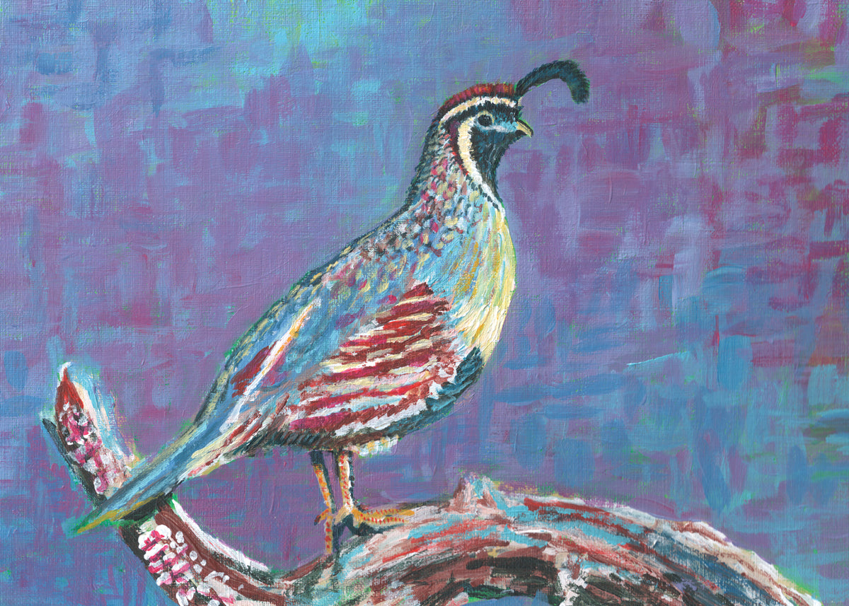 Quail Print