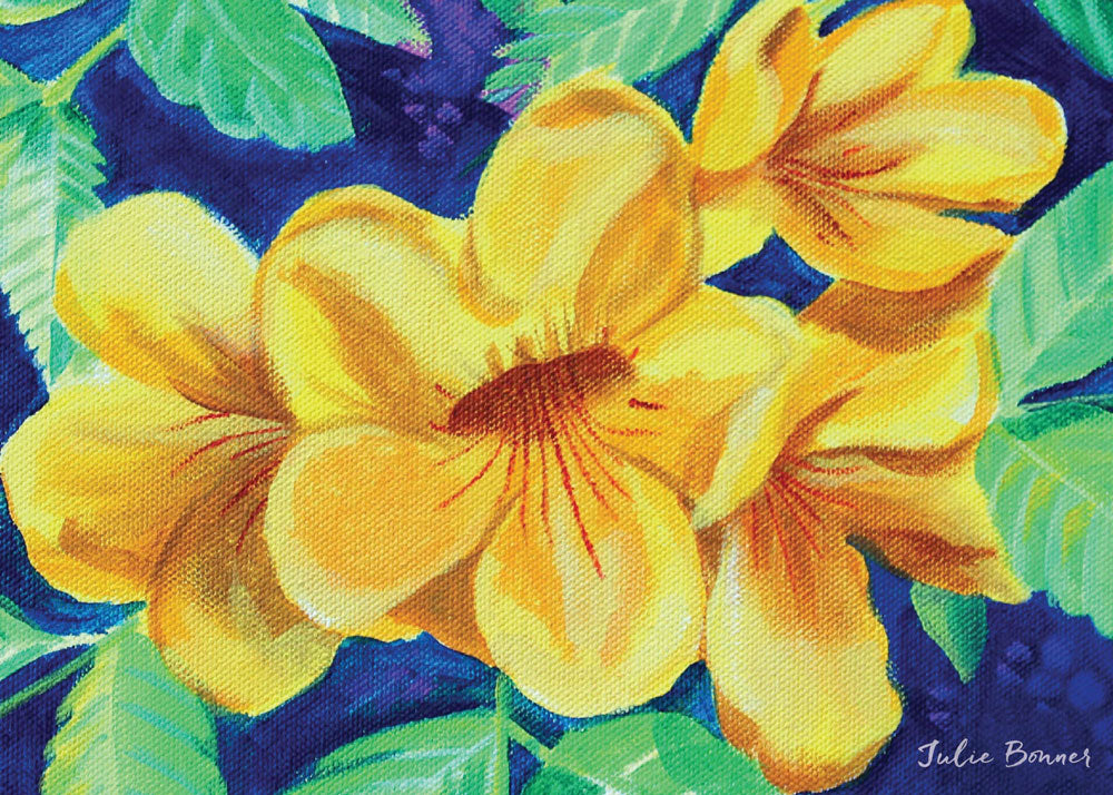 Fresh Flowers Assorted Greeting Card Set