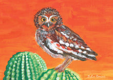 Load image into Gallery viewer, Desert Wings Assorted Greeting Card Set
